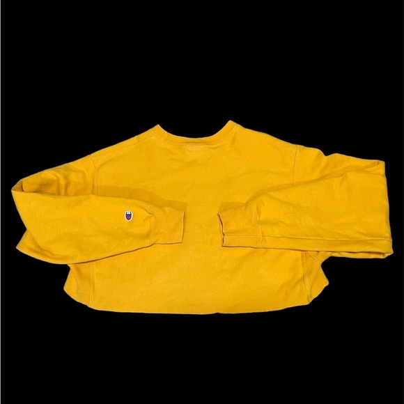 Champion Reverse Wave Crop Top - Picture 4 of 5